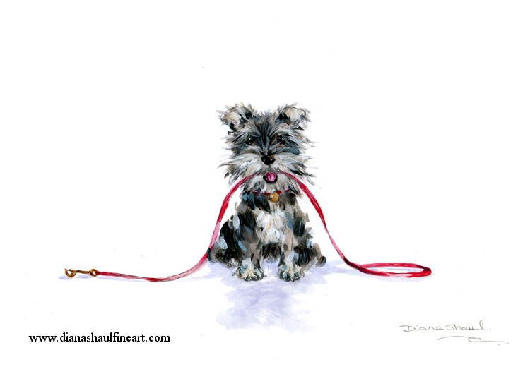 Original painting of a miniature schnauzer looking up hopefully, holding his leash in his mouth.